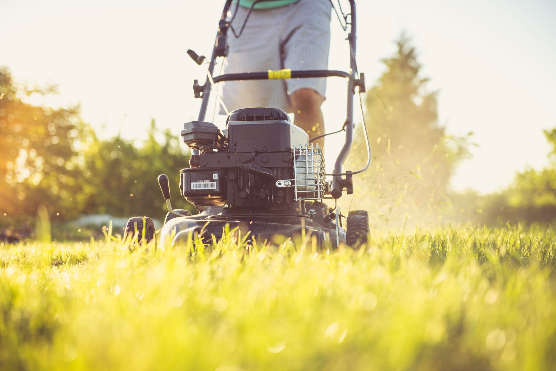 A mower cutting a lush green lawn in warm evening light